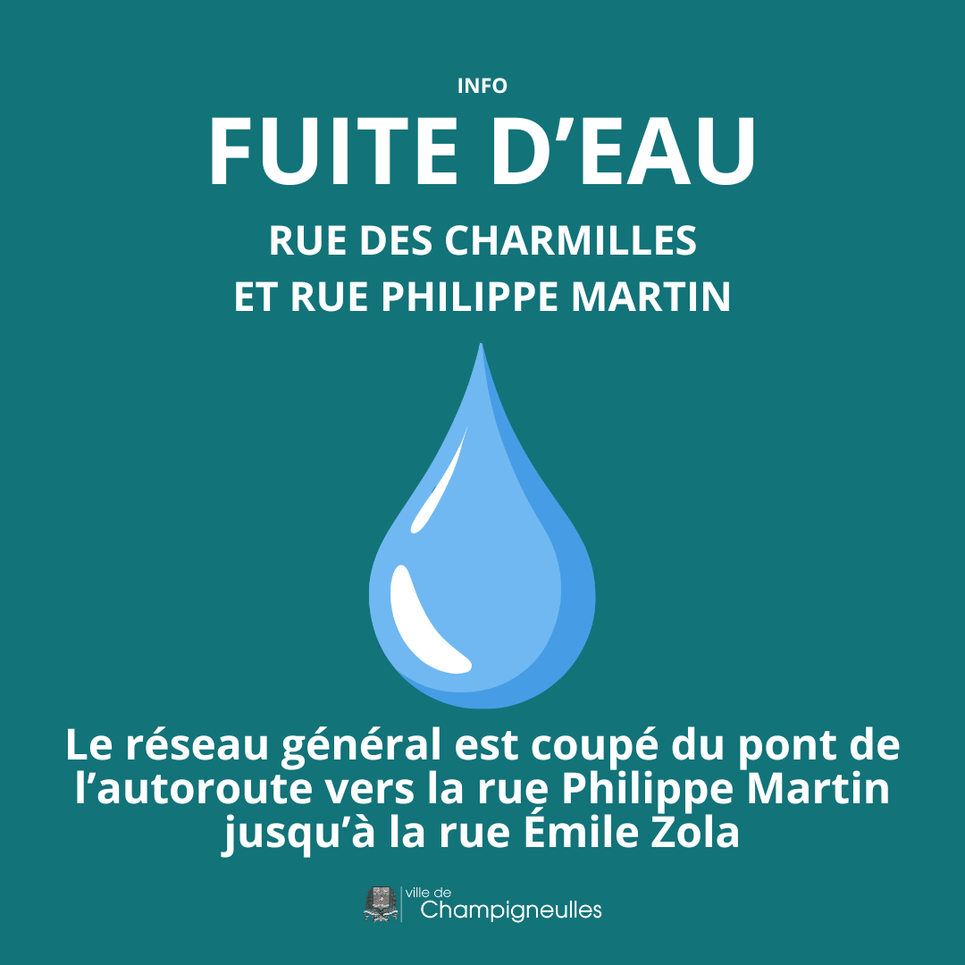 FUITE D'EAU - rue des Charmilles et rue Philippe Martin