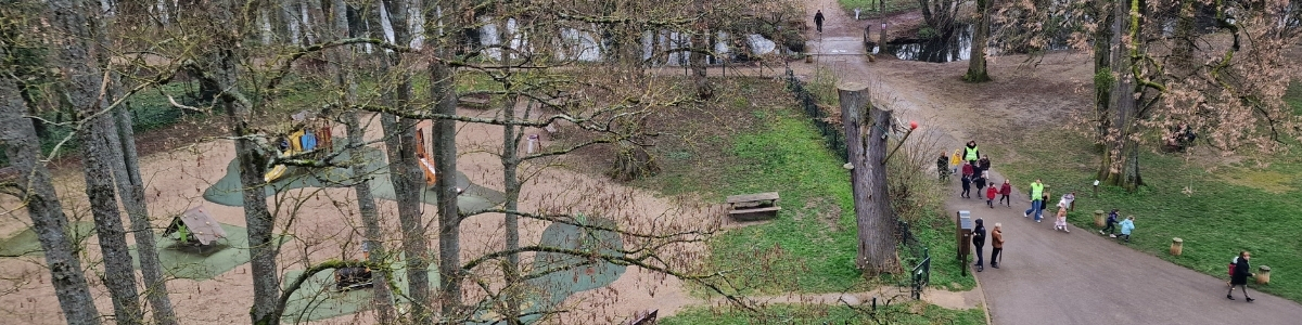 Illustration de l'article